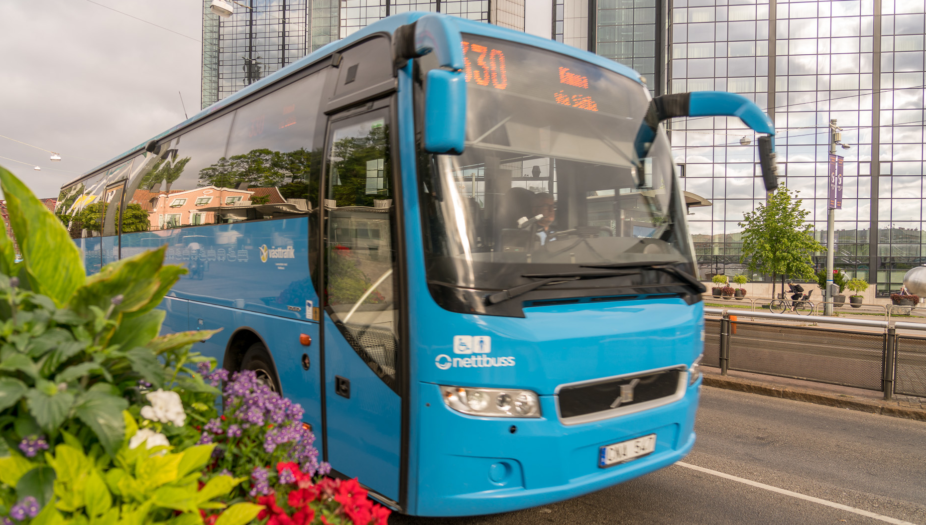 Buss